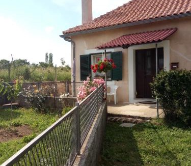 Drnis House | Holiday home "Goga" ruralna kuća