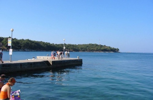 Vrvari House | Holiday Home in Poreč with Terrace, Air condition, WIFI, Dishwasher (4400-2)