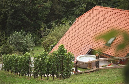 Skocjan House | Holiday Home Tramte In Vineyards, Škocjan, Slovenia