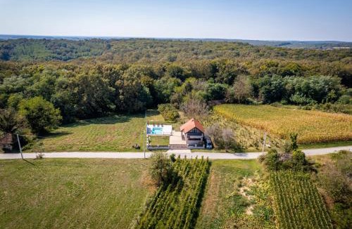 Kobasicari House | Holiday home Villa Antique