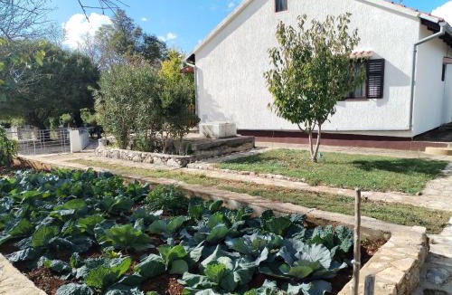 Velim House | Holiday Home Višnja with Pool