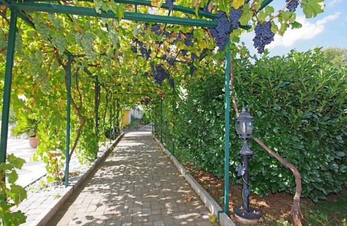 Cista Provo House | Holiday house Cista Provo for 1 - 10 persons with 4 bedrooms - Holiday home