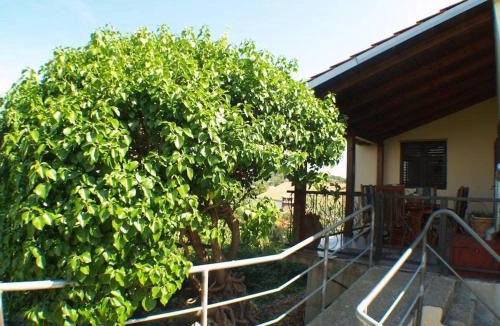 Zemunik Donji House | Holiday house in Kukljica with sea view, terrace, air conditioning, Wi-Fi (4572-1)