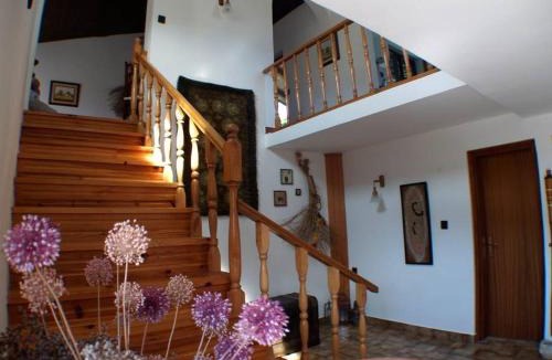 Zemunik Donji House | Holiday house in Kukljica with sea view, terrace, air conditioning, Wi-Fi (4572-1)