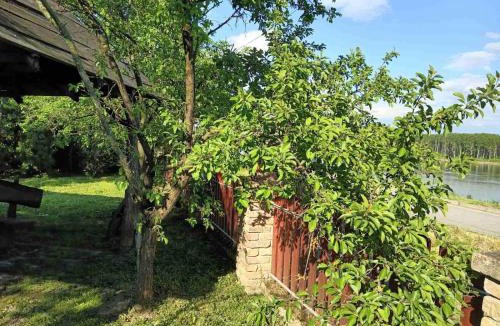Erdut House | Holiday house with a parking space Dalj, Slavonija - 22471