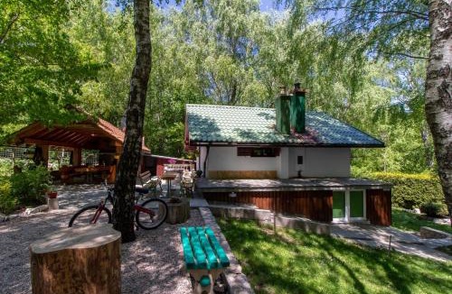 Breze House | Holiday house with a swimming pool Breze, Novi Vinodolski - 20493