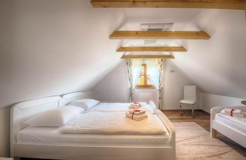 Ribnik Hotel | Hotel Srakovcic Heart of Nature