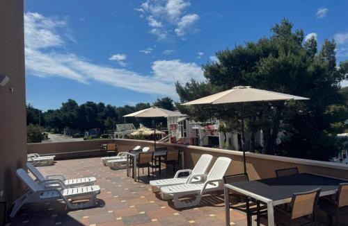 Zrce Hotel | Hotel Terra Nova