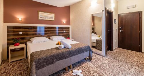 Zrce Hotel | Hotel Terra Nova