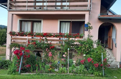 Jasenak House | House Šumska Idila (90561-K1) - Jasenak