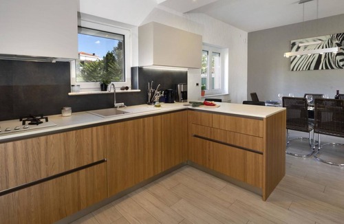 Kosinozici House | House 1808 by Interhome