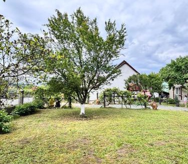 Baia Mare House | House Bumba