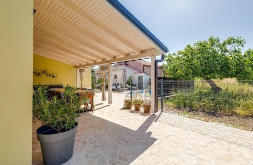 Susica House | House Crassula