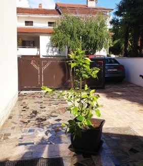 Spadici Apartment | House Maric