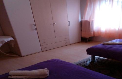 Donji Babin Potok Apartment | House Nada