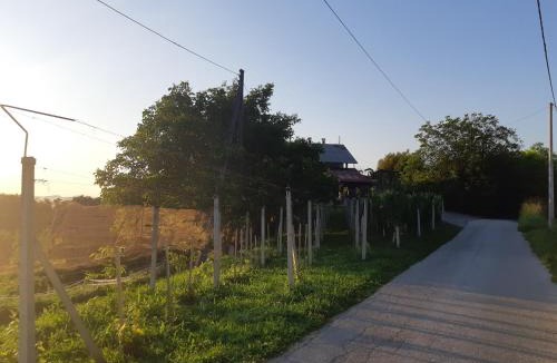 Kraljevec Sesvetski House | House of The Red Poppy