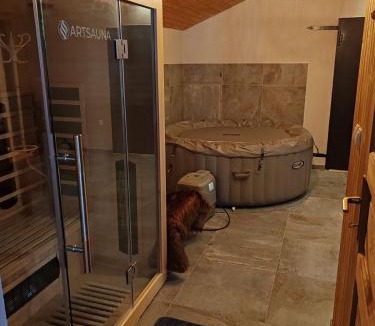 Plaski Villa | House Sara