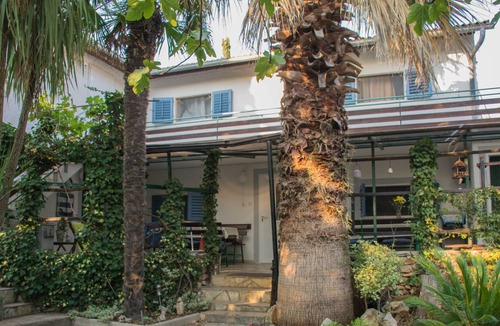 Punta Kriza House | House Villa Regina island Cres, only 70m from the sea