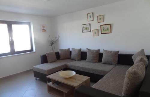 Zdrelac Apartment | Ilsad apartments - Apartment with pool 80 meters from sea - Great location