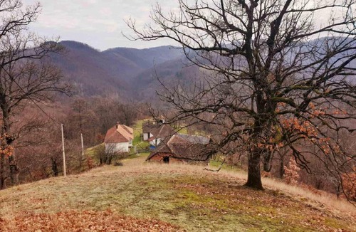 Serbia House | IVA