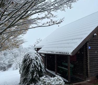 Sisak House | Jazvenik Hill House