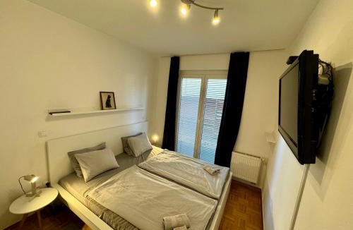 Obcina Brezovica Apartment | Jenny Apartment with Jacuzzi
