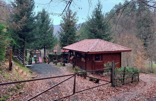 Firiza Cabin | KALMul naturii, iureșul pădurii