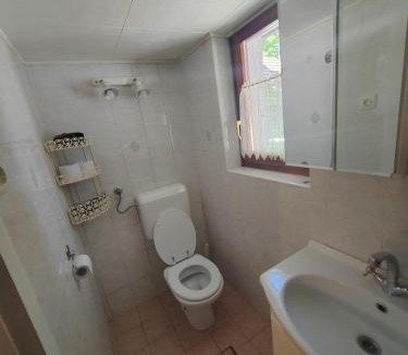 Ilirska Bistrica House | KOČA PLANIKA, SVIŠČAKI