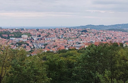 Mali Mokri Lug House | Konak Vukašinović