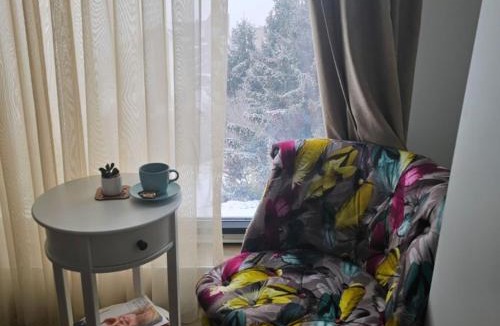 Lisina Apartment | Kopaonik Lux Resident Hill Apartman A39