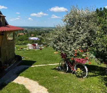 Petrovaradin House | Kuća Čerevićki Vidikovac