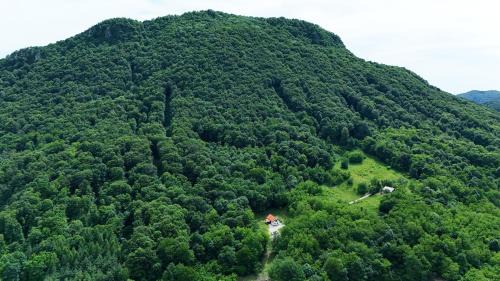 Novi Marof Ski Chalet | Kuća za odmor Čevo