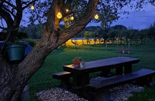 Molve House | Kuća za odmor DRAVA LIFE