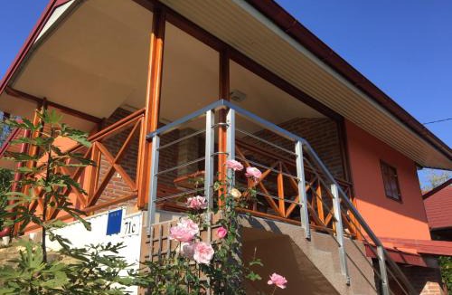 Donji Koncovcak House | Kuća za odmor "Nedeljko"/Holliday hause "Nedeljko"