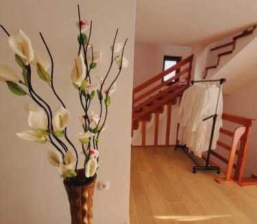 Veljun Apartment | Kuća za odmor Lotas