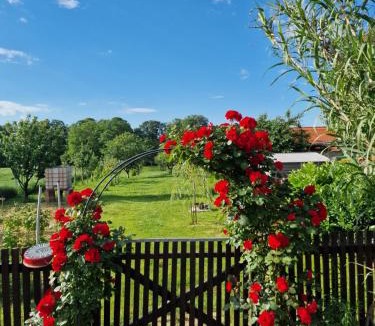 Karanac Villa | Kuća za odmor Mali Princ