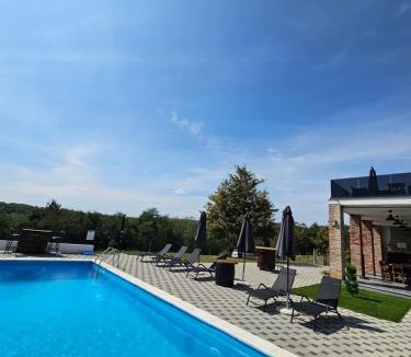 Pleternica Villa | Kuća za odmor "Villa Pletex"