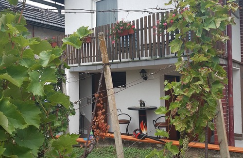 Vinica House | Kuca za Odmor Vinica Breg