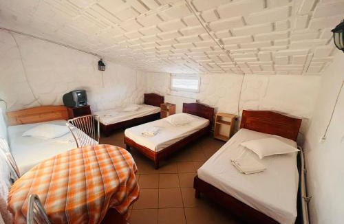 Macin Hostel | La Coco