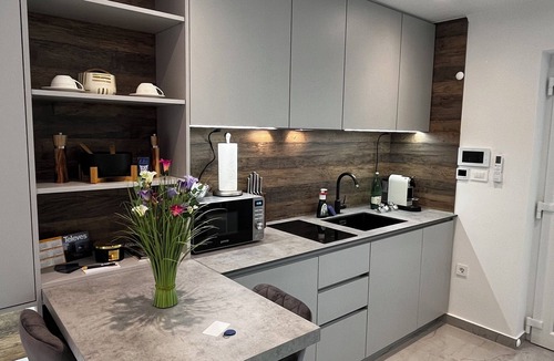 Nasice Apartment | La Luna ⭐ Petite Suite Deluxe Apartment with Pool & Jacuzzi Bikes and Parking