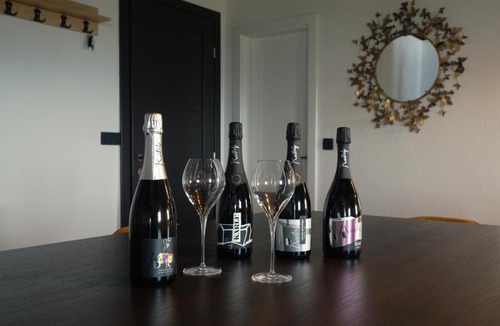 Breznik Plesivicki Villa | Lady Wine