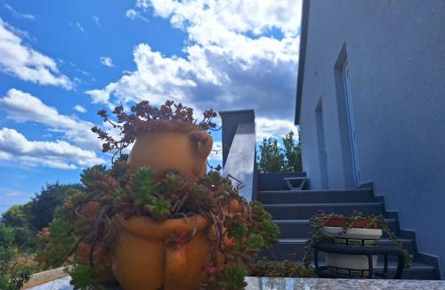 Sveti Filip i Jakov Apartment | lastva 1&2