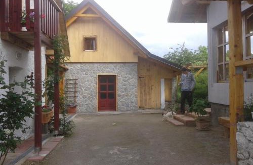 Plaski House | Latin