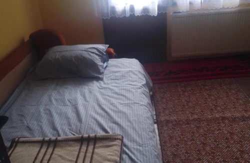 Bajina Basta Apartment | Letnja planinska kuća Platno