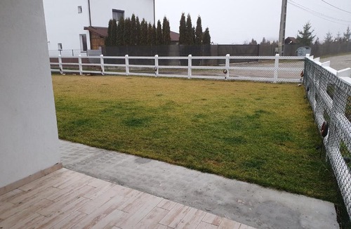 Albestii Paminteni House | Lovely and Cozy House Apartment with a nice yard