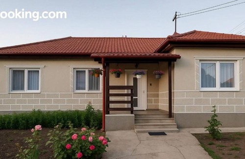 Jucu de Sus House | Luci's House