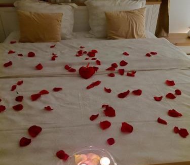Velika Gorica Villa | Luxury Love Cottage Spa- privatni jacuzzi &sauna , mir i privatnost