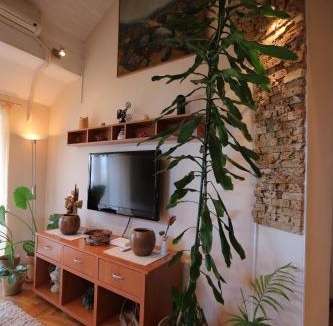 Novi Sad Apartment | Magic Apartment