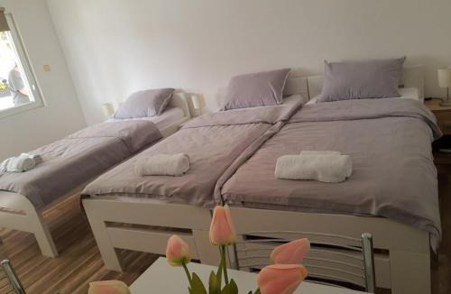 Golubac Apartment | Marina