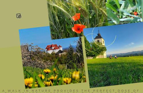 Zagorska Sela House | Masnec Tourist Farm